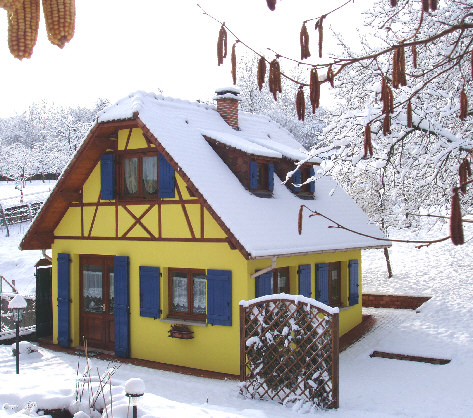 Dcouverte de la neige tombe la nuit  - le 5 mars 06